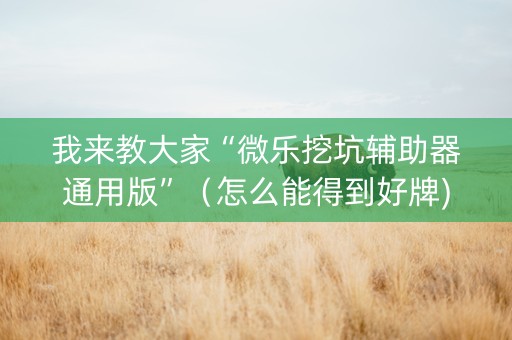 我来教大家“微乐挖坑辅助器通用版”（怎么能得到好牌)