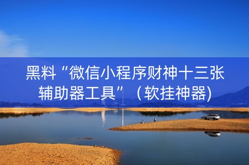 黑料“微信小程序财神十三张辅助器工具”（软挂神器)