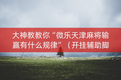 大神教教你“微乐天津麻将输赢有什么规律”（开挂辅助脚本)