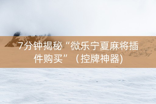 7分钟揭秘“微乐宁夏麻将插件购买”（控牌神器)