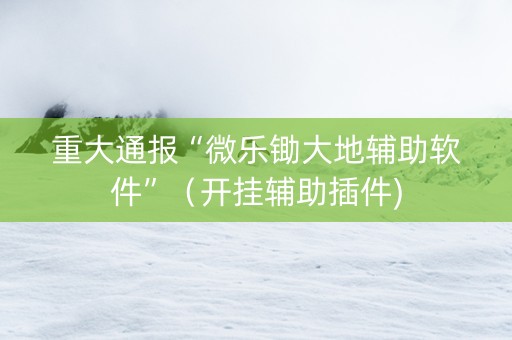 重大通报“微乐锄大地辅助软件”（开挂辅助插件)