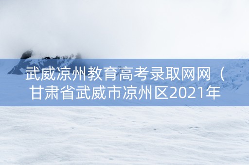 武威凉州教育高考录取网网（甘肃省武威市凉州区2021年中考录取分数线）