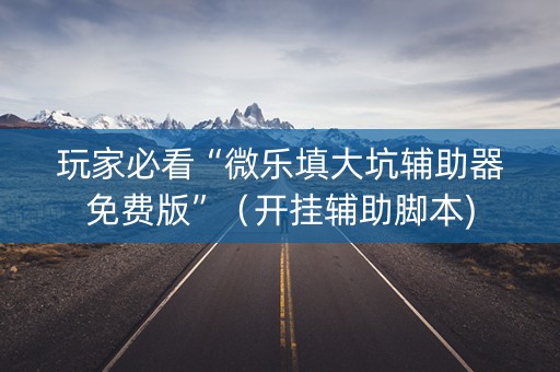 玩家必看“微乐填大坑辅助器免费版”（开挂辅助脚本)