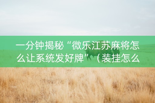 一分钟揭秘“微乐江苏麻将怎么让系统发好牌”（装挂怎么安装)