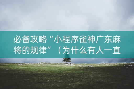 必备攻略“小程序雀神广东麻将的规律”（为什么有人一直赢)