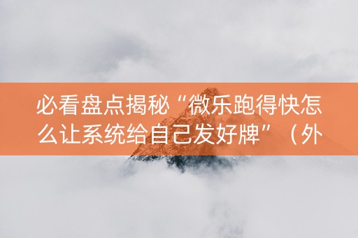 必看盘点揭秘“微乐跑得快怎么让系统给自己发好牌”（外辅工具)