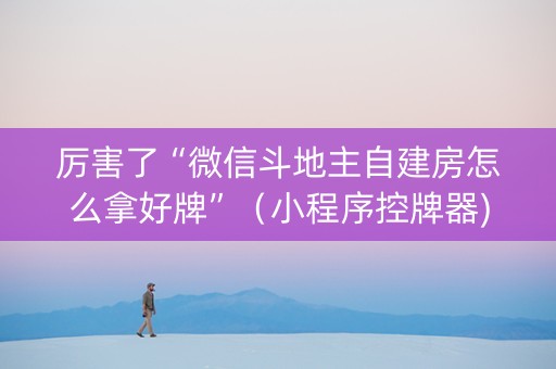 厉害了“微信斗地主自建房怎么拿好牌”（小程序控牌器)