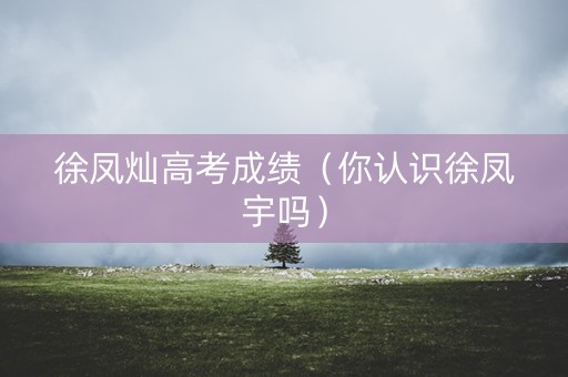 徐凤灿高考成绩（你认识徐凤宇吗）
