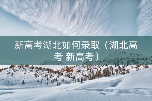 新高考湖北如何录取（湖北高考 新高考）