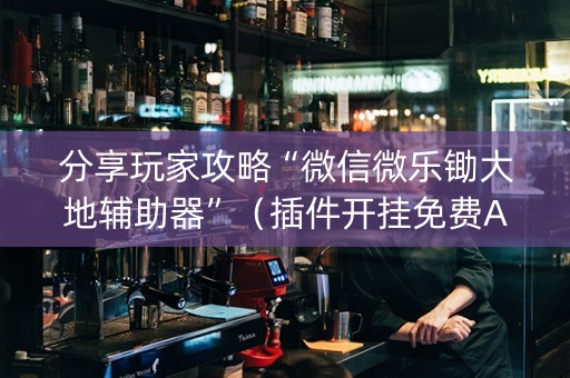 分享玩家攻略“微信微乐锄大地辅助器”（插件开挂免费AI)