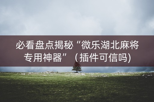 必看盘点揭秘“微乐湖北麻将专用神器”（插件可信吗)