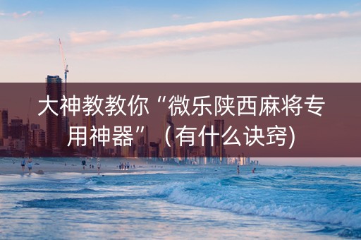 大神教教你“微乐陕西麻将专用神器”（有什么诀窍)