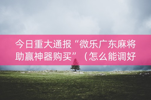 今日重大通报“微乐广东麻将助赢神器购买”（怎么能调好牌)