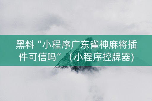 黑料“小程序广东雀神麻将插件可信吗”（小程序控牌器)