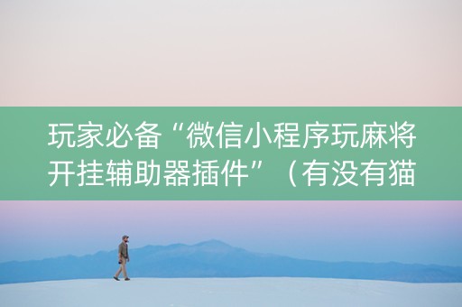 玩家必备“微信小程序玩麻将开挂辅助器插件”（有没有猫腻)