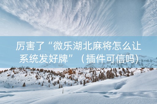 厉害了“微乐湖北麻将怎么让系统发好牌”（插件可信吗)