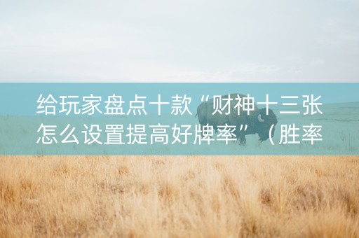 给玩家盘点十款“财神十三张怎么设置提高好牌率”（胜率到哪调)