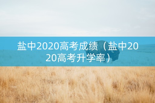 盐中2020高考成绩（盐中2020高考升学率）