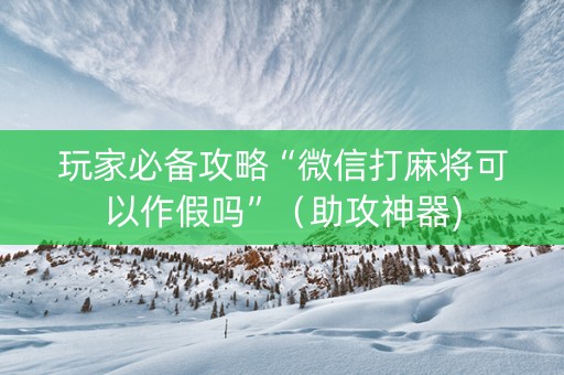 玩家必备攻略“微信打麻将可以作假吗”（助攻神器)