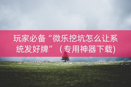玩家必备“微乐挖坑怎么让系统发好牌”（专用神器下载)