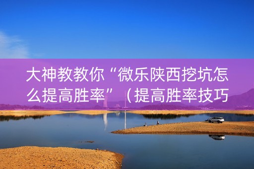大神教教你“微乐陕西挖坑怎么提高胜率”（提高胜率技巧)