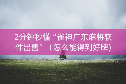 2分钟秒懂“雀神广东麻将软件出售”（怎么能得到好牌)