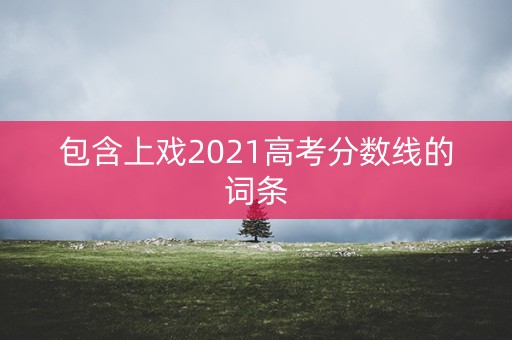 包含上戏2021高考分数线的词条