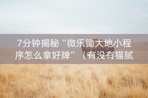 7分钟揭秘“微乐锄大地小程序怎么拿好牌”（有没有猫腻)