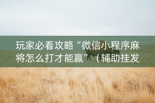 玩家必看攻略“微信小程序麻将怎么打才能赢”（辅助挂发牌规律)