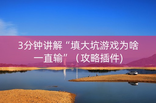 3分钟讲解“填大坑游戏为啥一直输”（攻略插件)