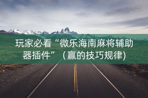 玩家必看“微乐海南麻将辅助器插件”（赢的技巧规律)