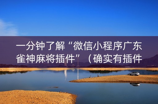 一分钟了解“微信小程序广东雀神麻将插件”（确实有插件吗)