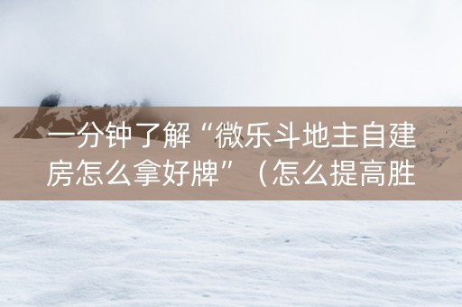 一分钟了解“微乐斗地主自建房怎么拿好牌”（怎么提高胜率)