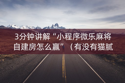 3分钟讲解“小程序微乐麻将自建房怎么赢”（有没有猫腻)