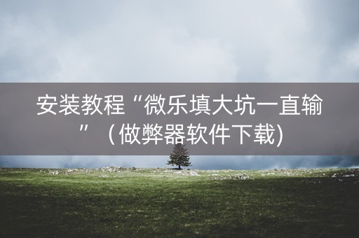 安装教程“微乐填大坑一直输”（做弊器软件下载)