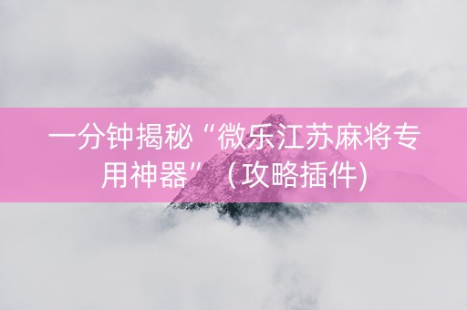 一分钟揭秘“微乐江苏麻将专用神器”（攻略插件)