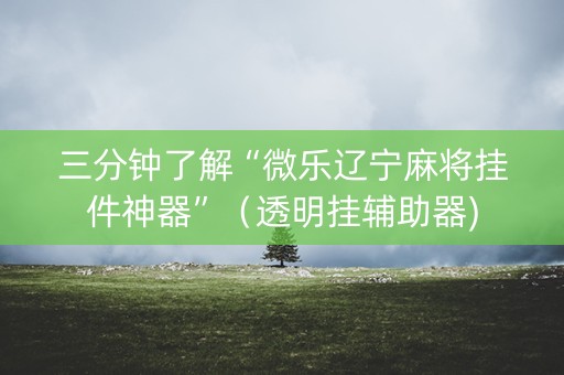 三分钟了解“微乐辽宁麻将挂件神器”（透明挂辅助器)