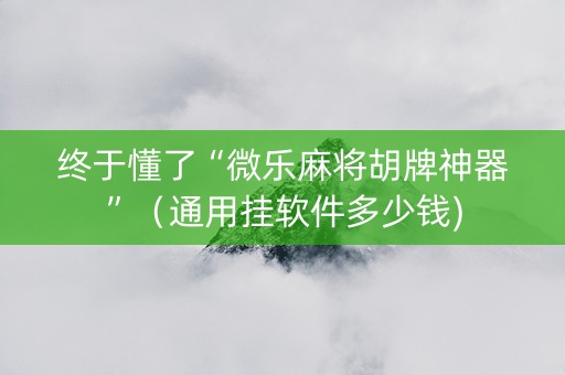 终于懂了“微乐麻将胡牌神器”（通用挂软件多少钱)