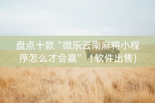 盘点十款“微乐云南麻将小程序怎么才会赢”（软件出售)