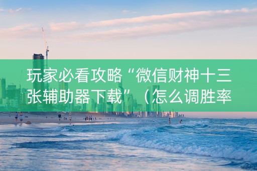 玩家必看攻略“微信财神十三张辅助器下载”（怎么调胜率)