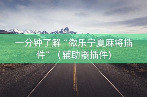 一分钟了解“微乐宁夏麻将插件”（辅助器插件)
