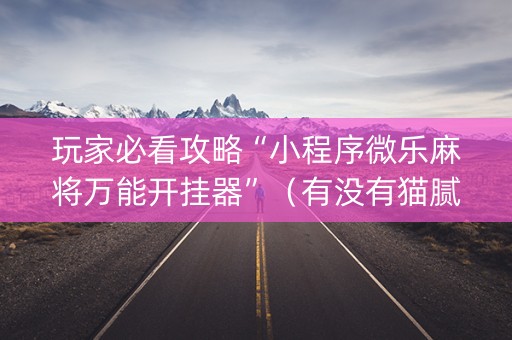 玩家必看攻略“小程序微乐麻将万能开挂器”（有没有猫腻)