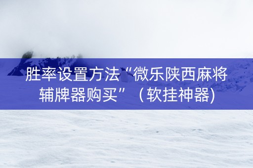 胜率设置方法“微乐陕西麻将辅牌器购买”（软挂神器)