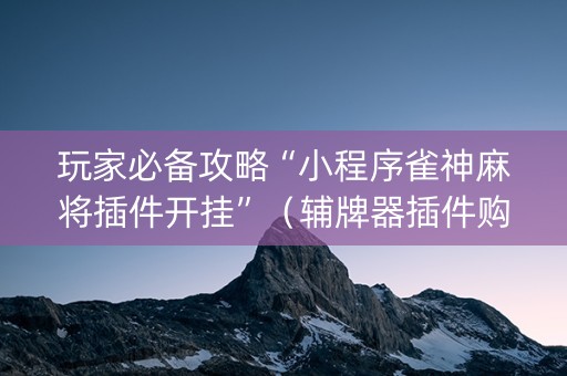 玩家必备攻略“小程序雀神麻将插件开挂”（辅牌器插件购买)