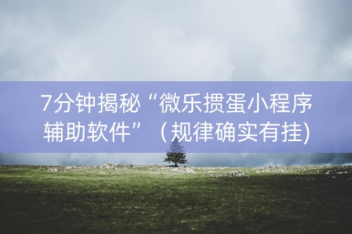 7分钟揭秘“微乐掼蛋小程序辅助软件”（规律确实有挂)