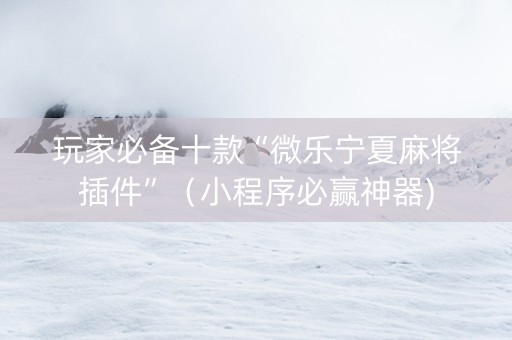 玩家必备十款“微乐宁夏麻将插件”（小程序必赢神器)