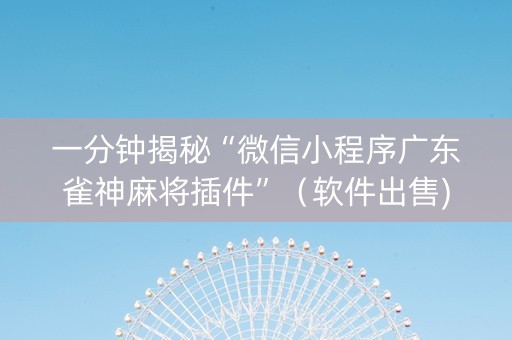 一分钟揭秘“微信小程序广东雀神麻将插件”（软件出售)