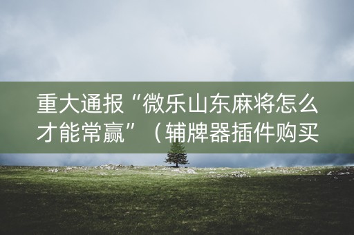 重大通报“微乐山东麻将怎么才能常赢”（辅牌器插件购买)