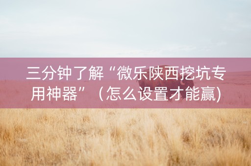 三分钟了解“微乐陕西挖坑专用神器”（怎么设置才能赢)