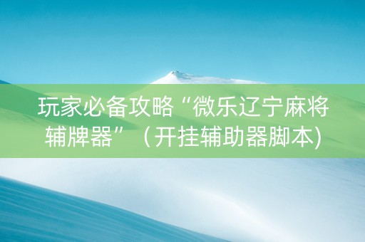 玩家必备攻略“微乐辽宁麻将辅牌器”（开挂辅助器脚本)